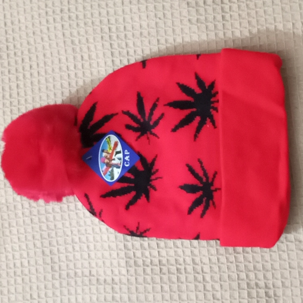 Winter cap 420